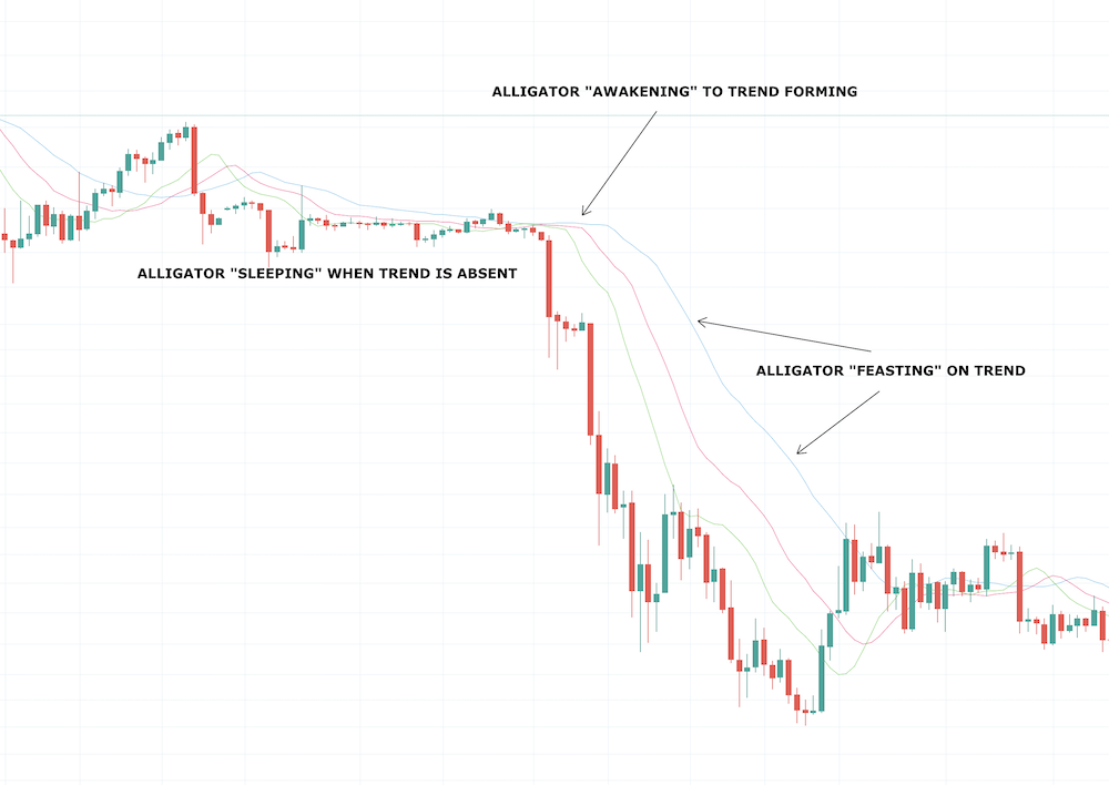 Williams Alligator Indicator Williams Alligator Indicator - image001 1