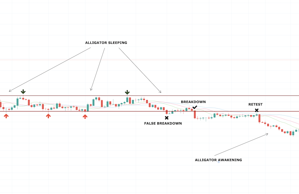 Williams Alligator Indicator Williams Alligator Indicator - image003 1
