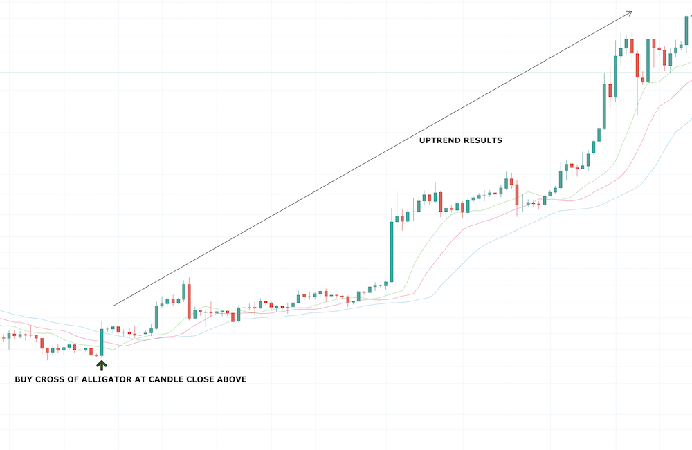 Williams Alligator Indicator Williams Alligator Indicator - image009 2