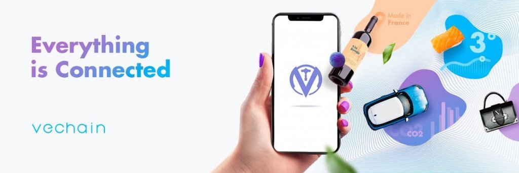 VeChain Price Prediction: Will VET Price Rise Again? VeChain Price Prediction: Will VET Price Rise Again? - image9 1024x341