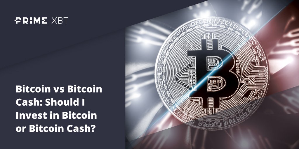 Bitcoin Versus Bitcoin Cash: Which Of The Hard Forks Is Worth Investing In? Bitcoin Versus Bitcoin Cash: Which Of The Hard Forks Is Worth Investing In? - Blog Primexbt 16 11