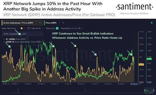 Market Research Report: Stocks and Crypto Crash In Tandem Forcing Margin Liquidations Market Research Report: Stocks and Crypto Crash In Tandem Forcing Margin Liquidations - market research 8